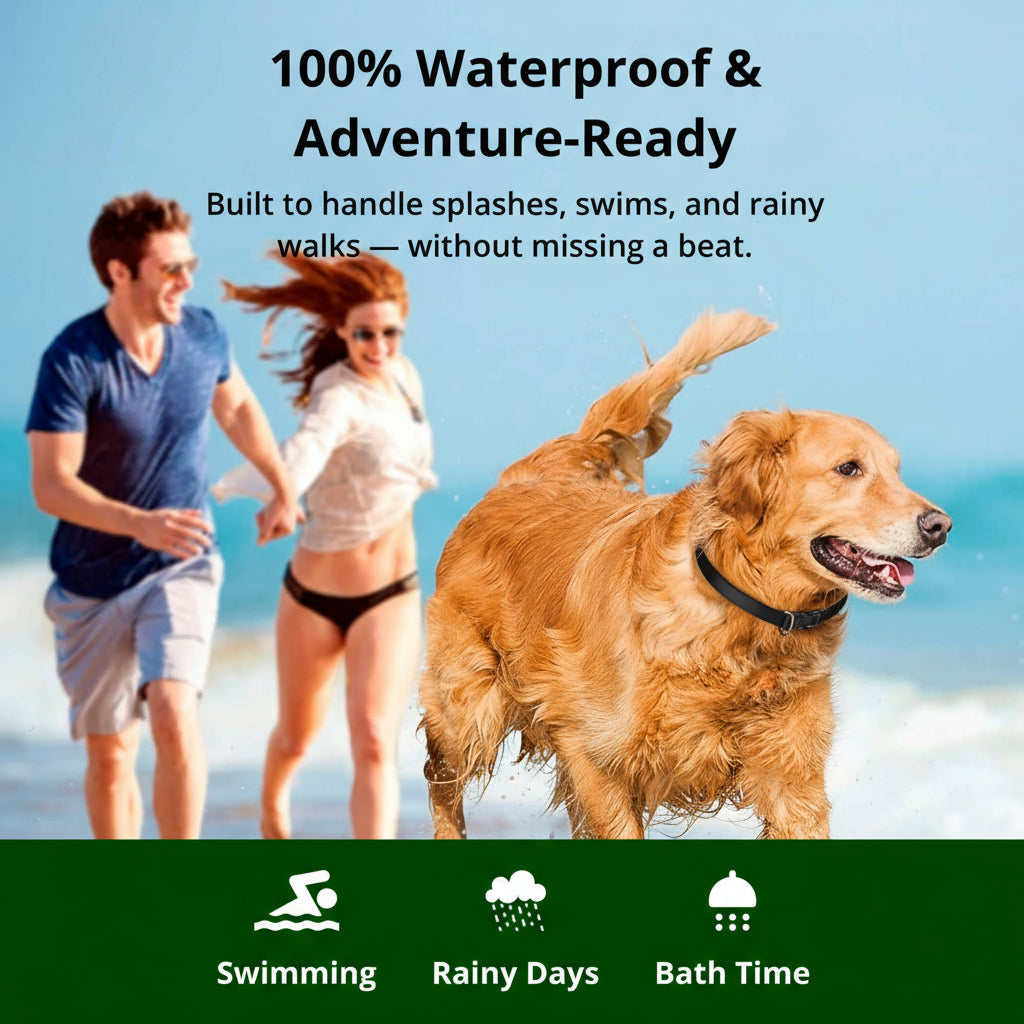NovaPaw 1000m Waterproof Dog Training Collar With Rechargeable Remote And Adjustable
