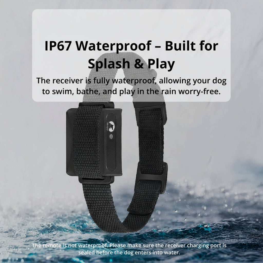 NovaPaw 1000m Waterproof Dog Training Collar With Rechargeable Remote And Adjustable