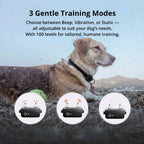 NovaPaw 1000m Waterproof Dog Training Collar With Rechargeable Remote And Adjustable