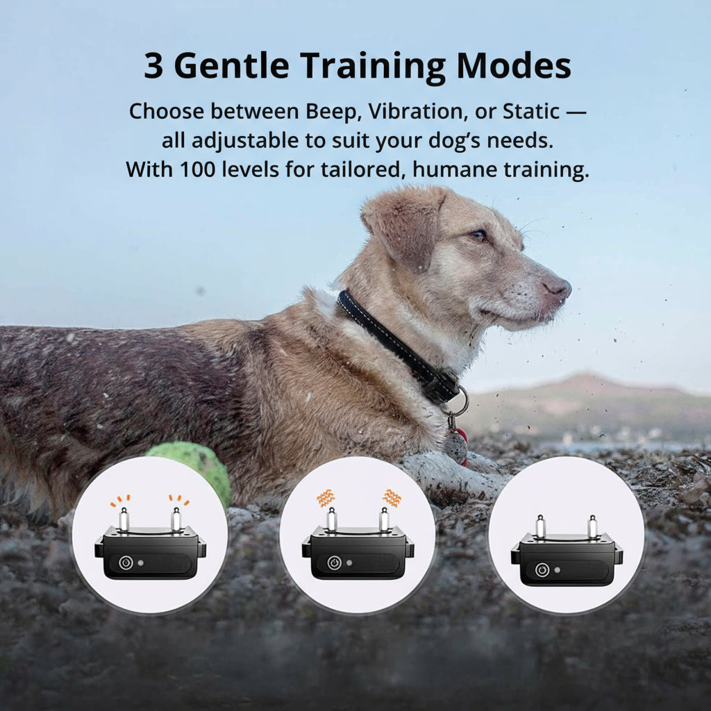 NovaPaw 1000m Waterproof Dog Training Collar With Rechargeable Remote And Adjustable