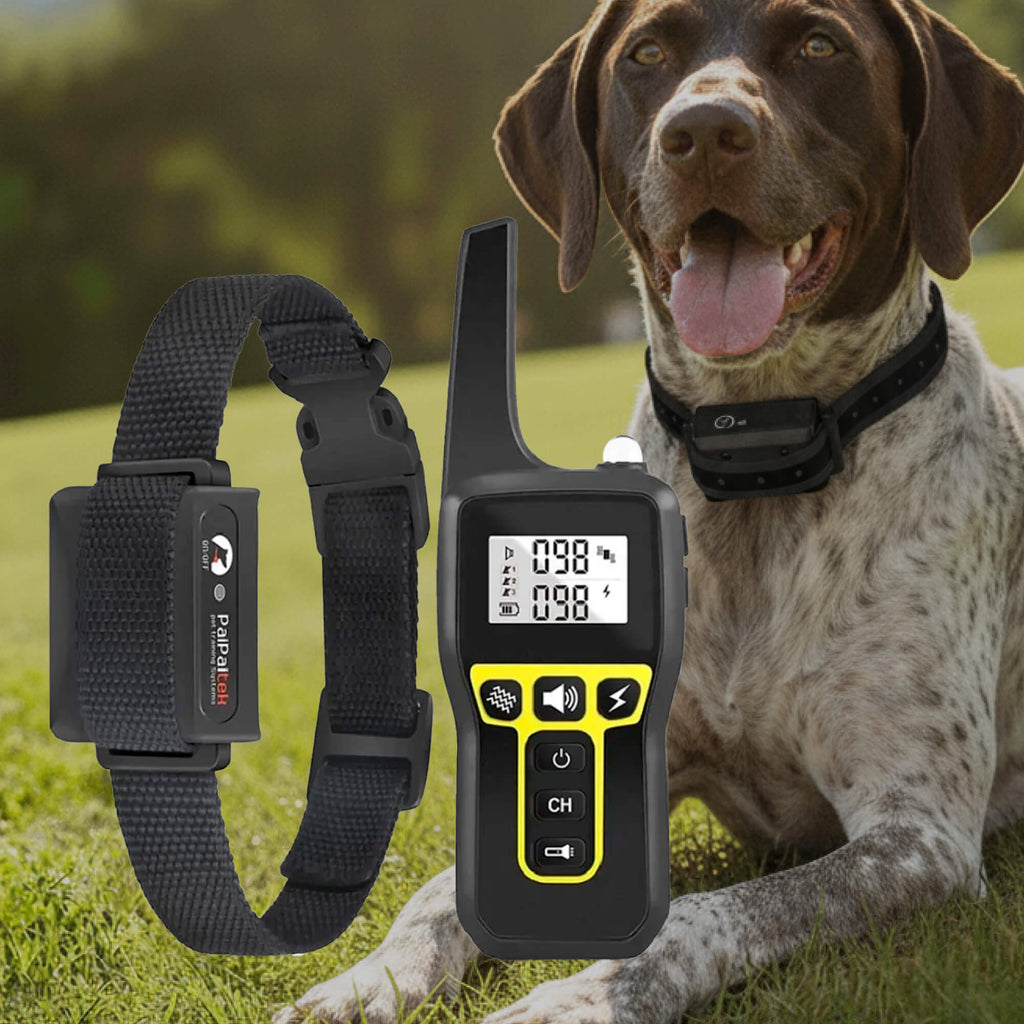 NovaPaw 1000m Waterproof Dog Training Collar With Rechargeable Remote And Adjustable