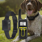 NovaPaw 1000m Waterproof Dog Training Collar With Rechargeable Remote And Adjustable