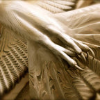 Majestic Owl Wall Art for Nature-Inspired Home Décor