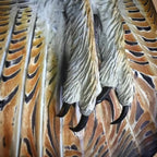 Majestic Owl Wall Art for Nature-Inspired Home Décor