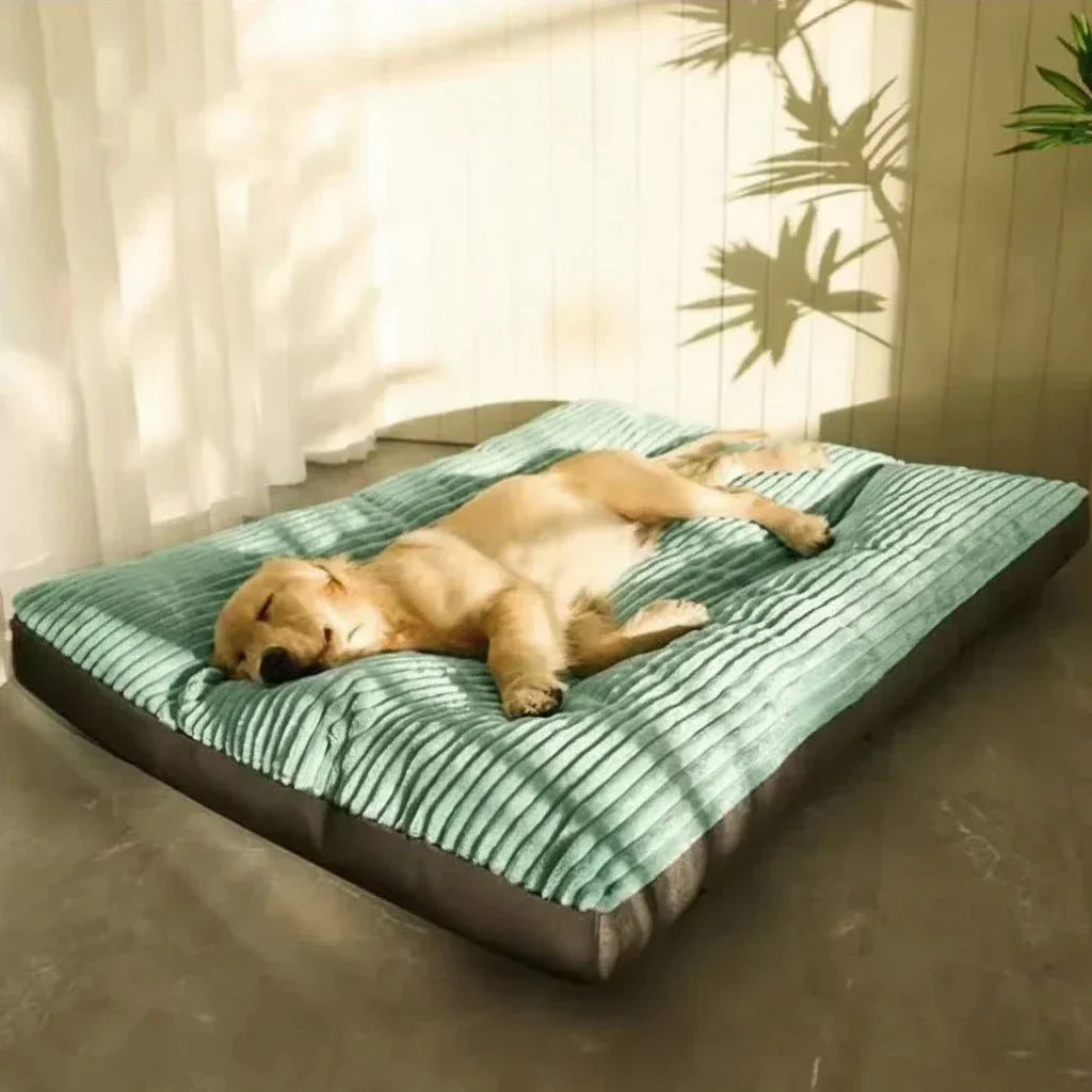 Orthopedic dog bed with plush comfort for restful sleep
