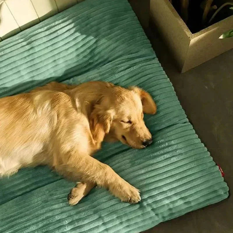 Orthopedic dog bed with plush comfort for restful sleep
