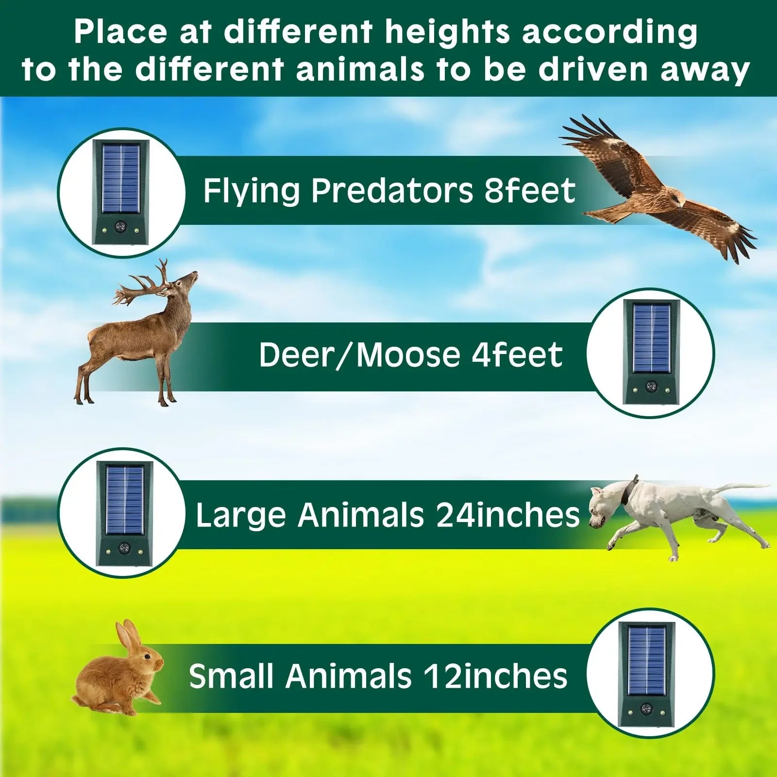 Solar Ultrasonic Motion-Detect Bird Repellent