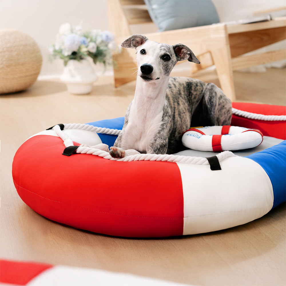 Pool Float Pet Bed for Summer Relaxation