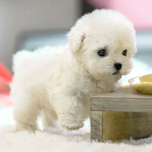 WarmPup Smart Robot Puppy Dog Ideal Gift for Kids and Seniors