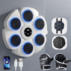 Pulse Box Interactive Smart Boxing Machine - NovaTech