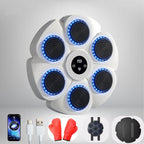Pulse Box Interactive Smart Boxing Machine - NovaTech