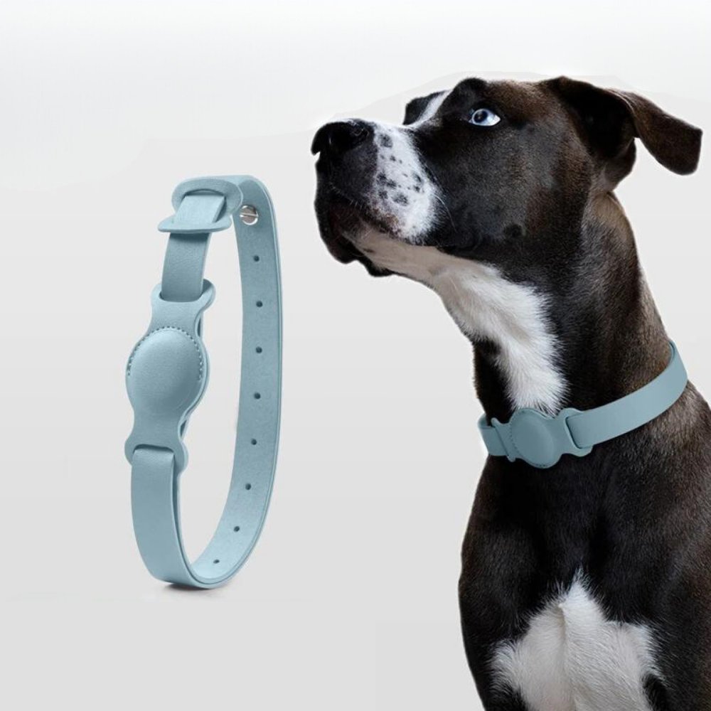 AuroraLeather AirTag Dog Collar With Premium Style And Secure Tracking