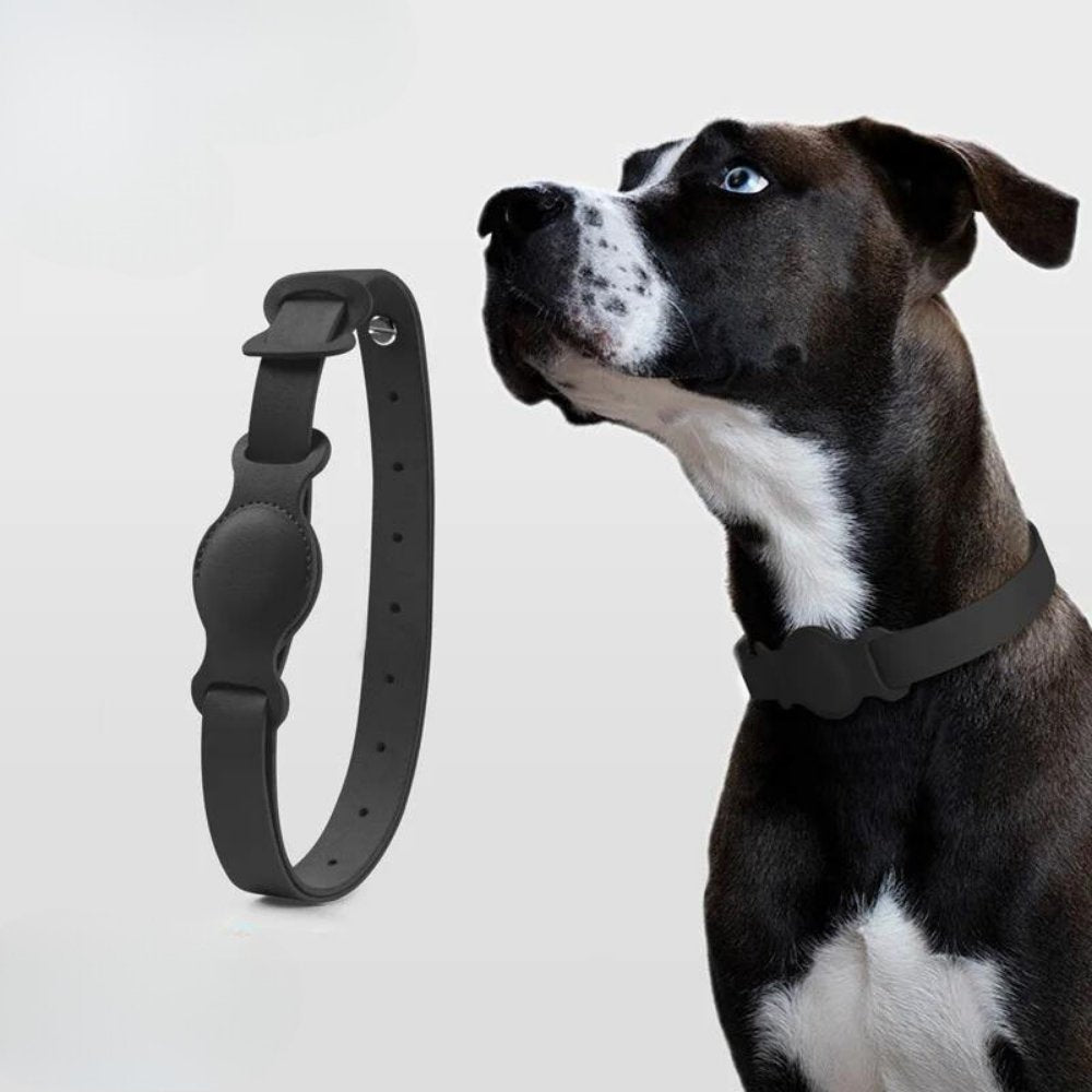 AuroraLeather AirTag Dog Collar With Premium Style And Secure Tracking