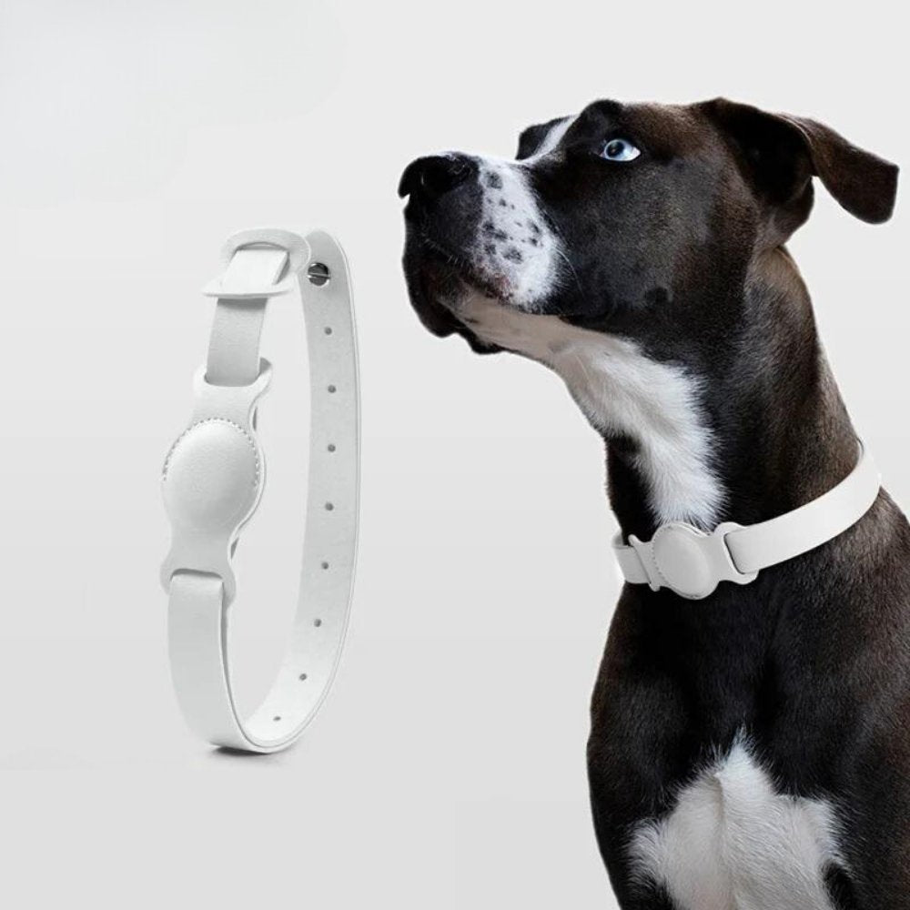 AuroraLeather AirTag Dog Collar With Premium Style And Secure Tracking