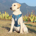 TrailMate No Pull Dog Harness for Peaceful Daily Walks