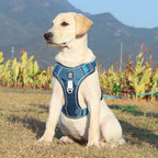 TrailMate No Pull Dog Harness for Peaceful Daily Walks