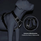 TrailMate No Pull Dog Harness for Peaceful Daily Walks