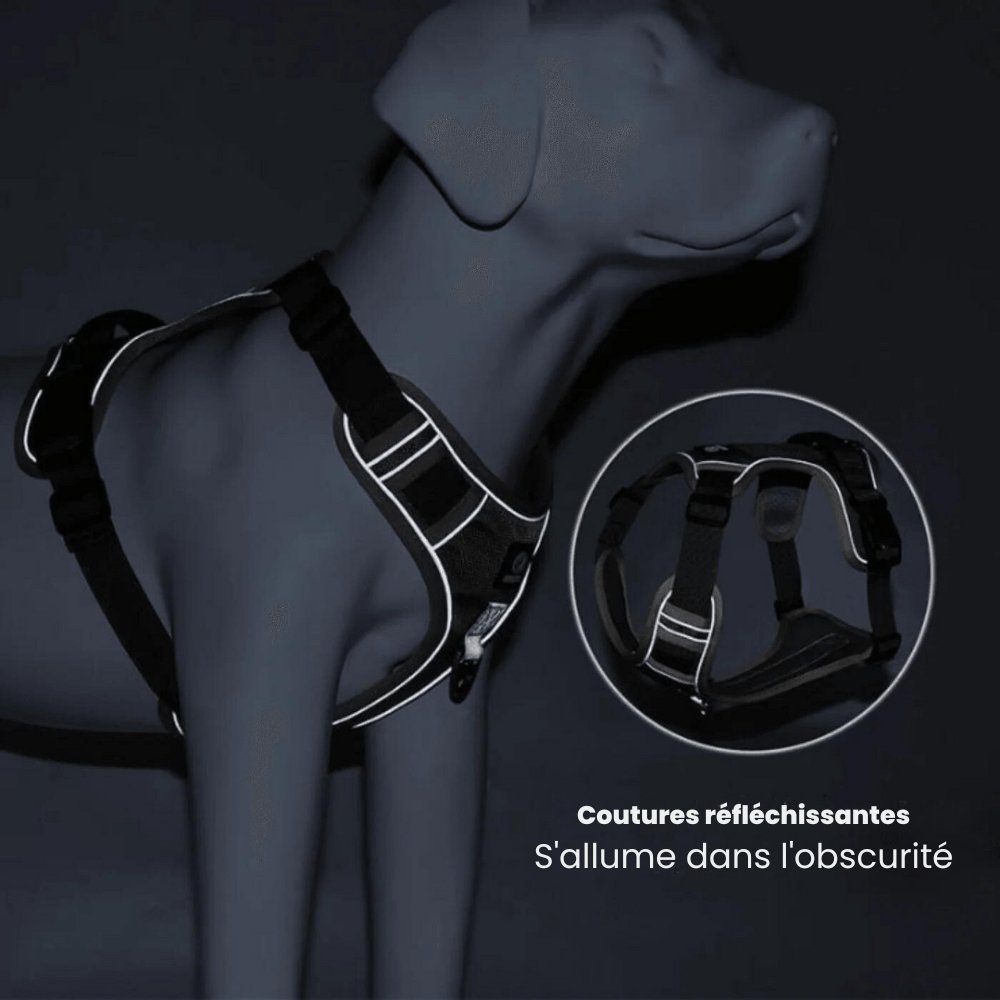 TrailMate No Pull Dog Harness for Peaceful Daily Walks