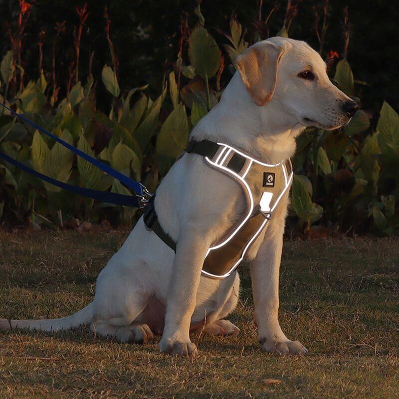 TrailMate No Pull Dog Harness for Peaceful Daily Walks