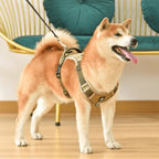 TrailMate No Pull Dog Harness for Peaceful Daily Walks