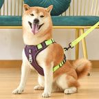 TrailMate No Pull Dog Harness for Peaceful Daily Walks