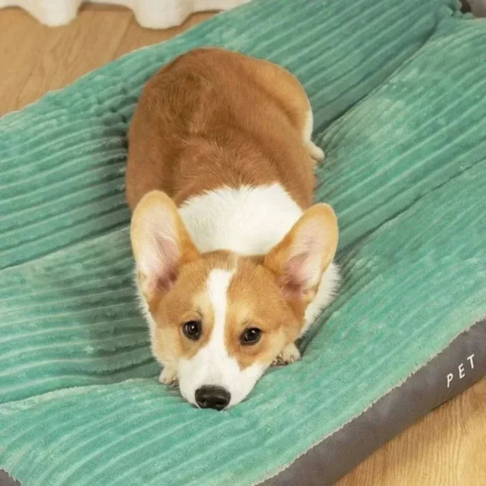 Orthopedic dog bed with plush comfort for restful sleep