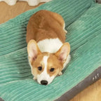 Orthopedic dog bed with plush comfort for restful sleep