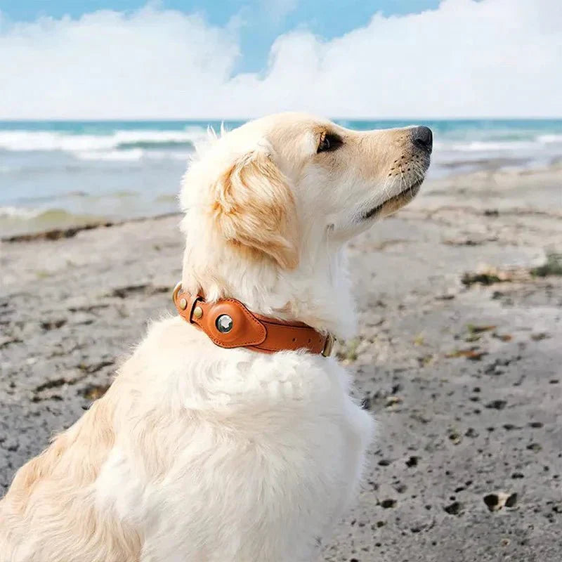 NovaTrail Premium AirTag Dog Collar For Pets Daily Use