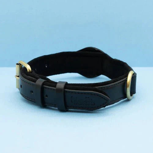 NovaTrail Premium AirTag Dog Collar For Pets Daily Use