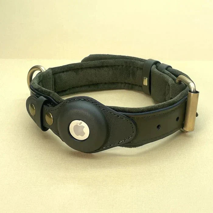 NovaTrail Premium AirTag Dog Collar For Pets Daily Use