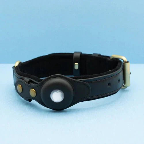 NovaTrail Premium AirTag Dog Collar For Pets Daily Use