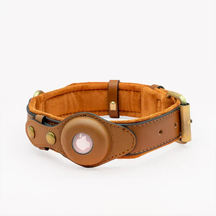 NovaTrail Premium AirTag Dog Collar For Pets Daily Use