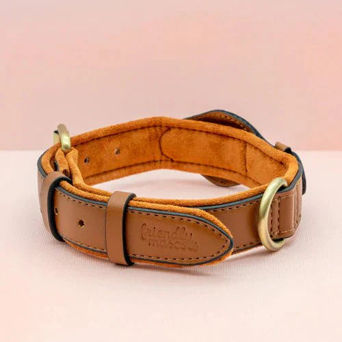 NovaTrail Premium AirTag Dog Collar For Pets Daily Use