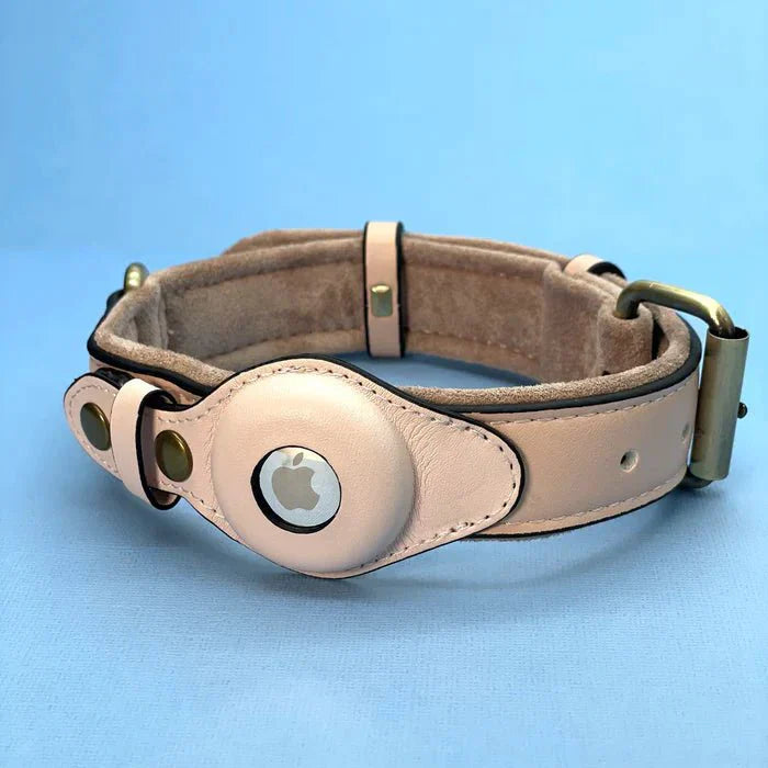 NovaTrail Premium AirTag Dog Collar For Pets Daily Use