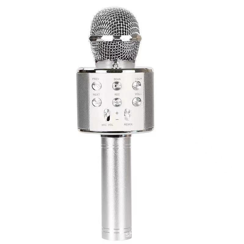SoundNova Sing Anywhere: The Ultimate Wireless Karaoke Microphone