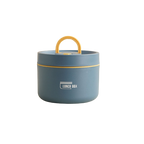 AuroraPack ThermoBox Multi-Layered Insulated Lunchbox With Carry Bag