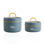 AuroraPack ThermoBox Multi-Layered Insulated Lunchbox With Carry Bag
